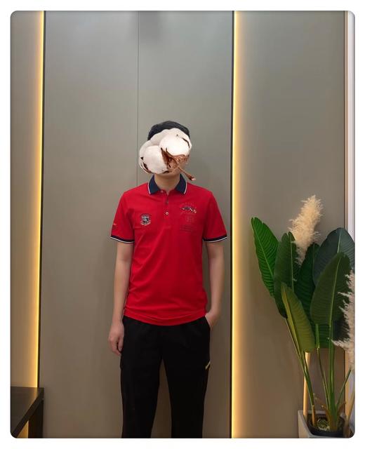 男反领短B01170 商品图0