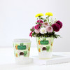 小花农吸水型儿童手工DIY桌面小盆栽【三款装】+送5包种子 商品缩略图3