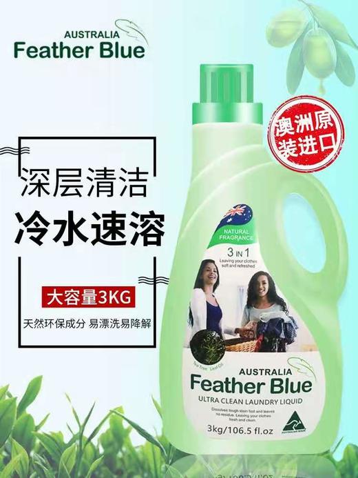 1F 羽花甘蓝系列洁净洗衣液 商品图0