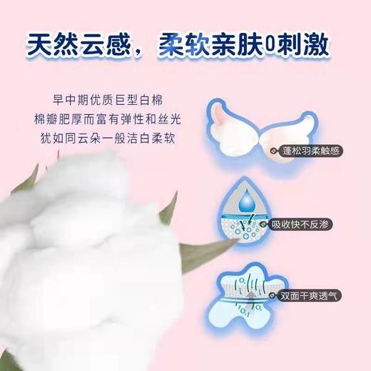 1F 绵柔时光纤薄迷你卫生巾 商品图5