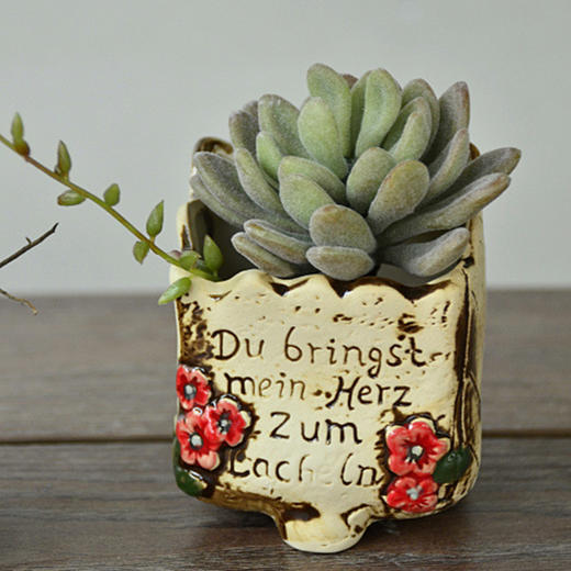 【为思礼合集】陶瓷花盆 创意美式风 多肉植物花盆  zakka花盆 商品图12