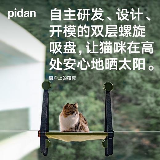 pidan窗户上的猫窝榉木实木猫吊床壁挂窝吸盘窗台观景晒太阳 商品图1