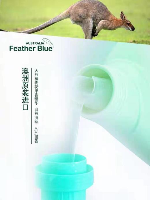 1F 羽花甘蓝系列洁净洗衣液 商品图8