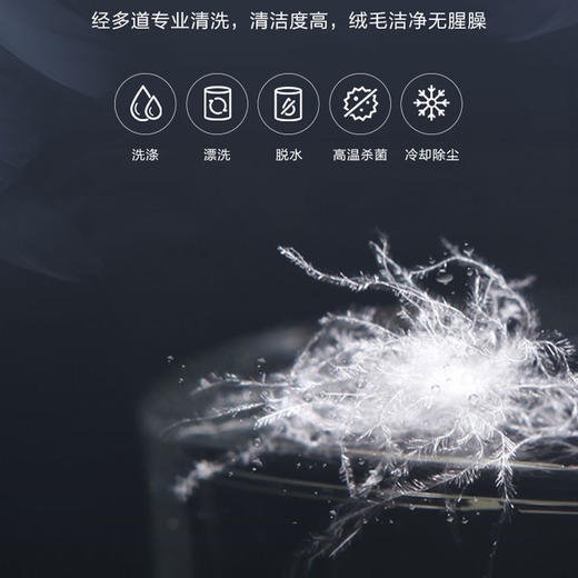 安尔迪老鸭绒羽绒被（绒子含量95%)，订制加工时间三至五天左右，订制产品非质量问题不接受退换货 商品图1