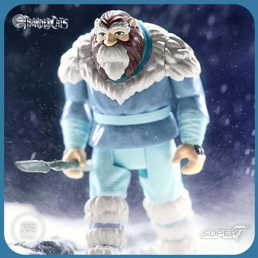 现货 Super7 霹雳猫 系列2 ThunderCats  3.75英寸 挂卡 商品图5