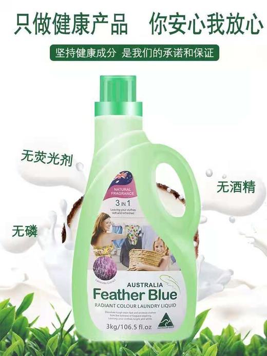 1F 羽花甘蓝系列洁净洗衣液 商品图5