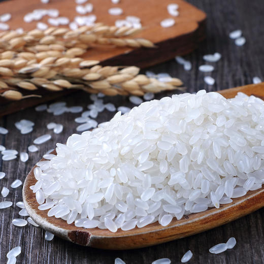 柴火大院 财火大院 黑龙江长粒香米5kg-XL 商品图1