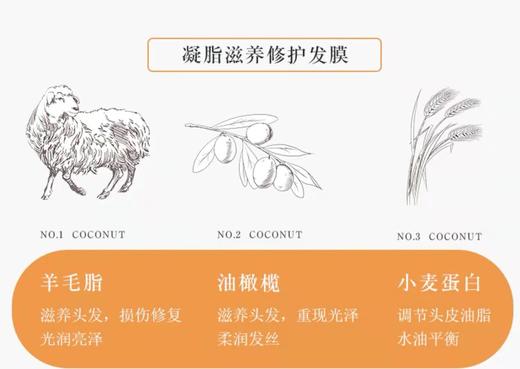 1F 绿色溪谷凝脂弹滑洗护沐三件套 商品图4