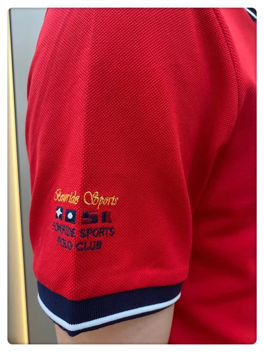 男反领短B01170 商品图5