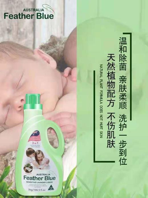 1F 羽花甘蓝系列洁净洗衣液 商品图7