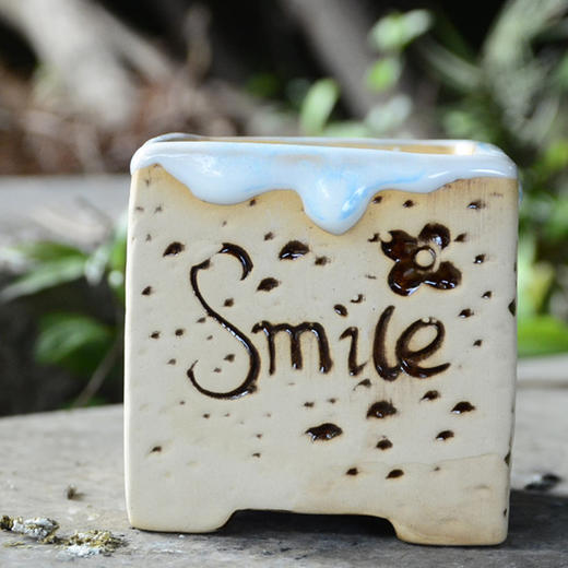 【为思礼合集】陶瓷花盆 创意美式风 多肉植物花盆  zakka花盆 商品图4