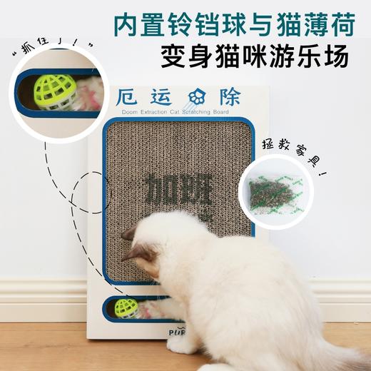 PurLab噗扑实验室厄运抓除猫抓板瓦楞纸磨爪耐抓耐磨猫玩具 商品图2