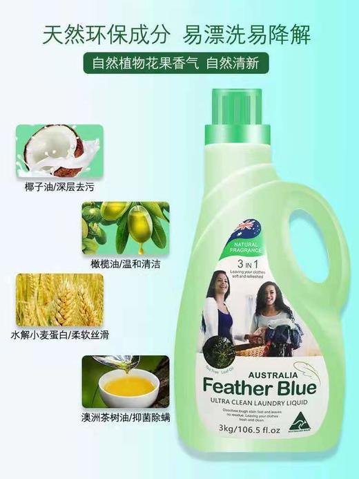 1F 羽花甘蓝系列洁净洗衣液 商品图1