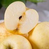 业主福利~【日本原种金星苹果】约5斤/11斤，日本皇室御用苹果 商品缩略图3