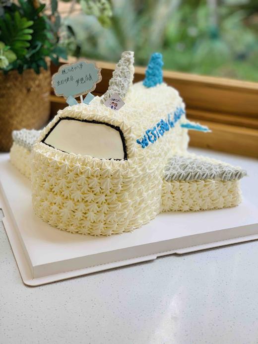 异型飞机奶油蛋糕 下单前请仔细阅读商品详情 商品图0