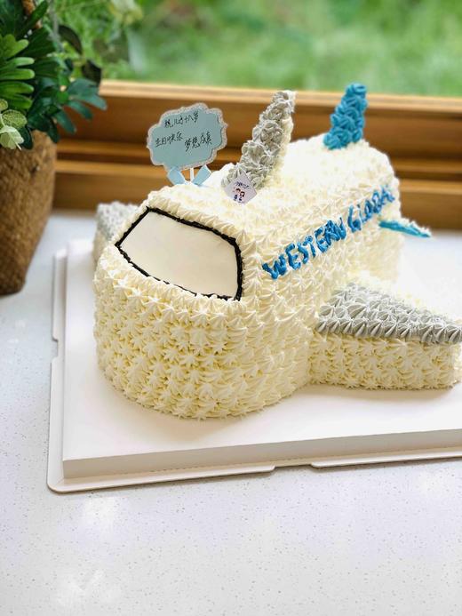 异型飞机奶油蛋糕 下单前请仔细阅读商品详情 商品图1