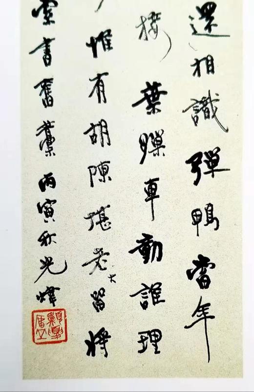 《二十世纪书法经典：胡小石卷》 8开 精装函套 河北教育出版社、广东教育出版社1996年版 商品图7