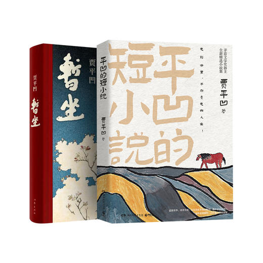 暂坐+平凹的短小说 商品图0