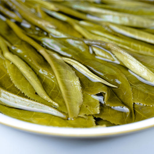 【铜箐河】2021年普洱茶生茶易武500古茶纯料春茶357g 商品图1