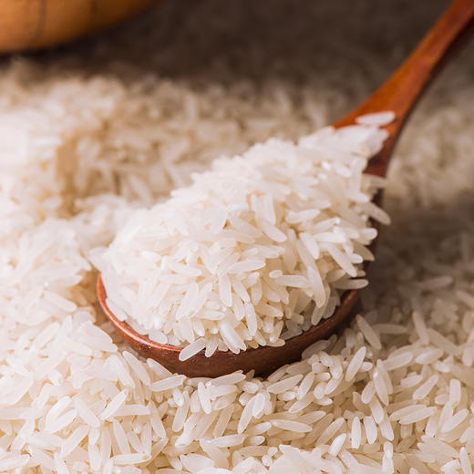 挑时生态禾花鱼丝苗米 5kg 鱼稻共生 现磨鲜米 商品图3