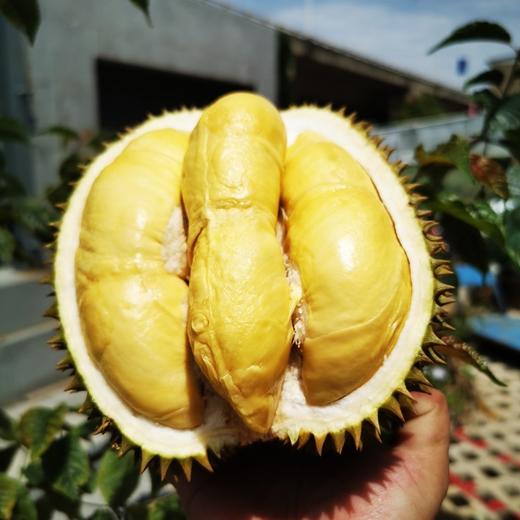 泰国甲仑榴梿一级大果 （包5房）保留好快递单 /48-72小时发货 商品图3