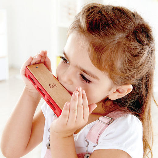 Hape儿童布鲁斯口琴 商品图0