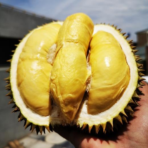 泰国甲仑榴梿一级大果 （包5房）保留好快递单 /48-72小时发货 商品图4