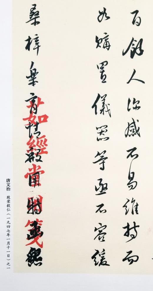 《上海市档案馆藏中国近现代名人墨迹选粹》 册页装 朱纪华 主编 上海书画出版社2015出版 商品图13