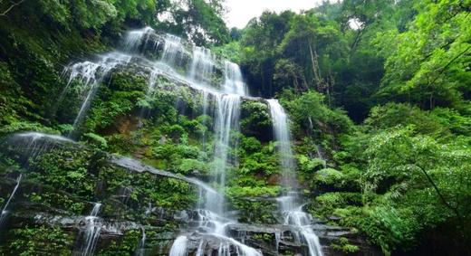 拼包车 | 天台山景区直通车|避暑、耍水、看萤火虫最佳去处 商品图2