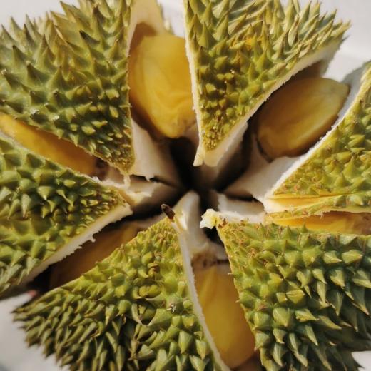 泰国甲仑榴梿一级大果 （包5房）保留好快递单 /48-72小时发货 商品图5