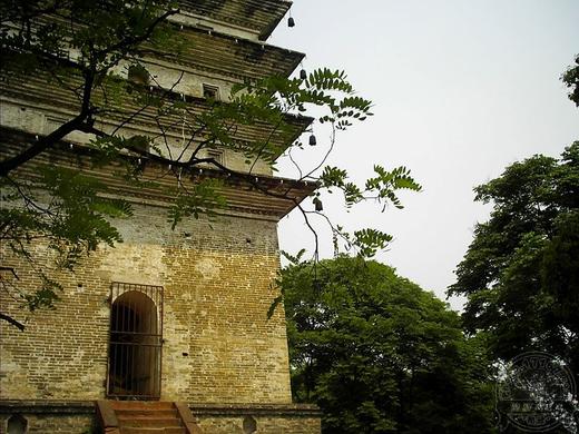 【拼包车出行 | 自由安排 】乐山大佛景区直通车 | 登凌云山看大佛，感受巍峨风光 商品图4