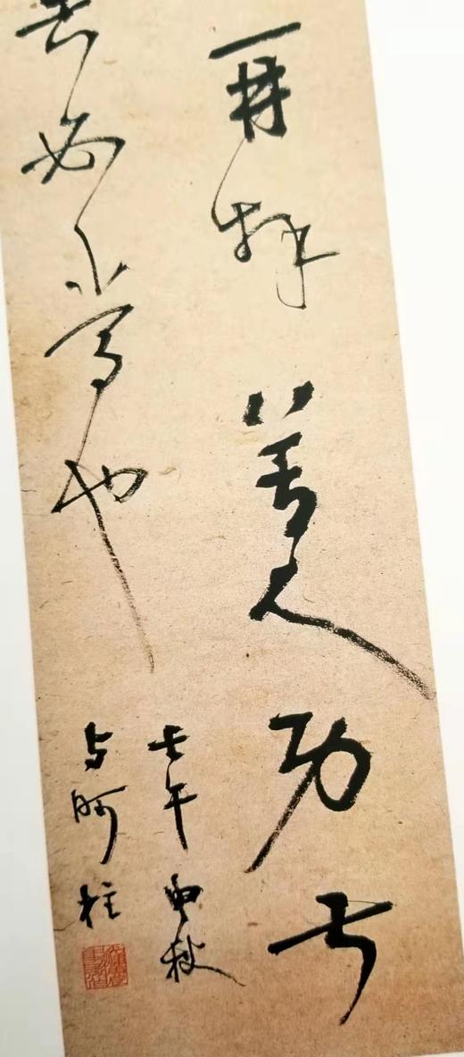 《二十世纪书法经典：胡小石卷》 8开 精装函套 河北教育出版社、广东教育出版社1996年版 商品图5