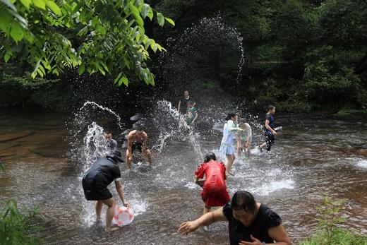 拼包车 | 天台山景区直通车|避暑、耍水、看萤火虫最佳去处 商品图3