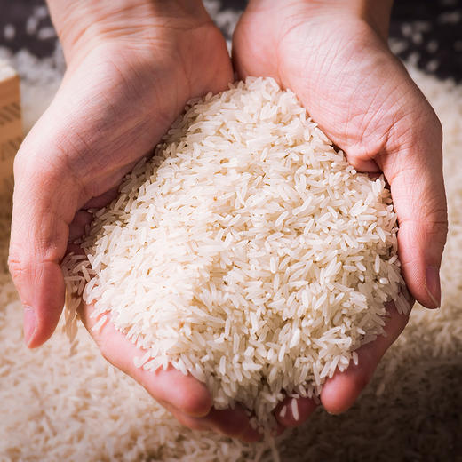 挑时生态禾花鱼丝苗米 5kg 鱼稻共生 现磨鲜米 商品图4