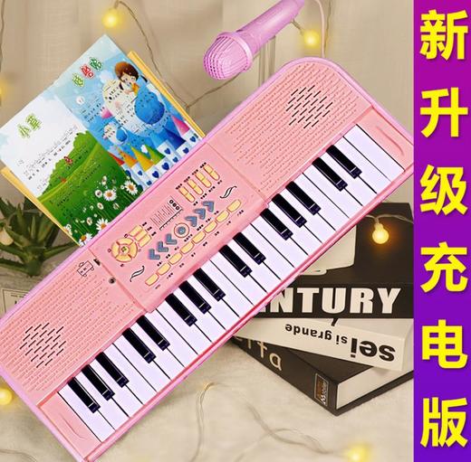 【儿童电子琴】电子琴 带麦克风儿童早教玩具 益智多功能音乐小钢琴 商品图1