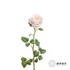 百利信单头玫瑰 | 凯拉 商品缩略图5