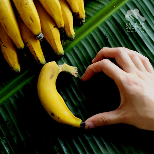 生态手指蕉 | 绿家自产 * Eco-finger banana | Self-production 商品图2