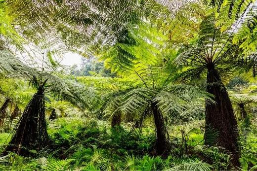 【拼包车出行 | 自由安排  】石象湖直通车|花海、骑马、游乐园，全套娱乐设备应有尽有 商品图0