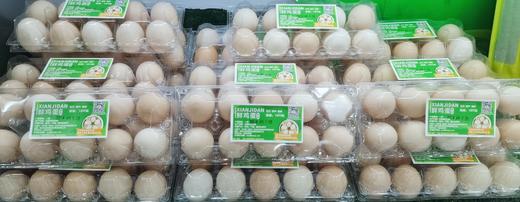 鲜鸡蛋10枚装 商品图0