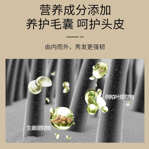 修正黑灵芝首乌洗发水中老年乌发男女老少都适用育发特证白发转黑防脱发护发让秀发自然乌黑浓密，拒绝染发 商品图6
