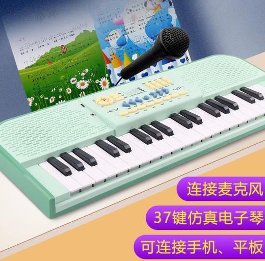 【儿童电子琴】电子琴 带麦克风儿童早教玩具 益智多功能音乐小钢琴 商品图2