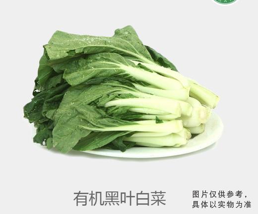 青沃黑叶白菜 商品图0