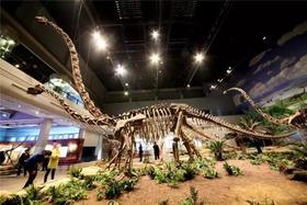 恐龙博物馆直通车|来自贡，看恐龙化石、吃当地美食~