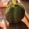 泰国甲仑榴梿一级大果 （包5房）保留好快递单 /48-72小时发货 商品缩略图13