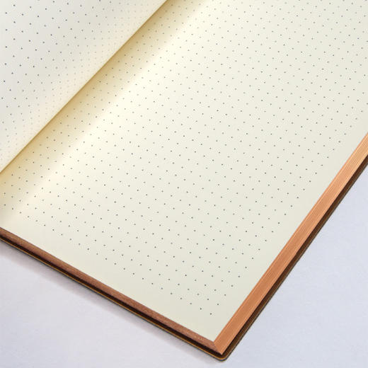 Daycraft旗舰装饰风系列点格笔记本A5N75 商品图3