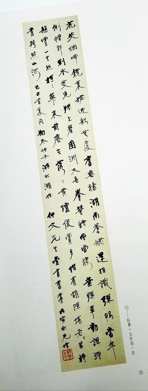 《二十世纪书法经典：胡小石卷》 8开 精装函套 河北教育出版社、广东教育出版社1996年版 商品图14