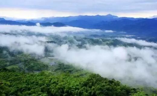 拼包车 | 天台山景区直通车|避暑、耍水、看萤火虫最佳去处 商品图1