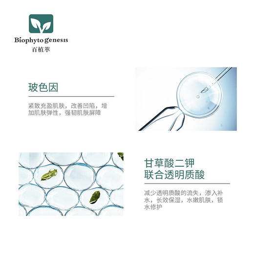 【百植萃】百植萃玻色因塑颜紧致精华30ml 商品图3