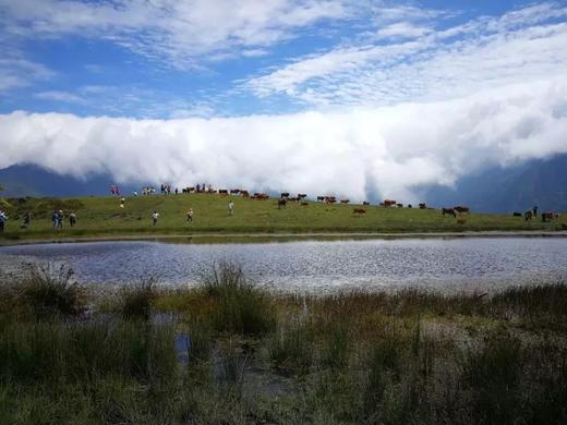 【拼包车出行 | 自由安排  】卧龙甘海子直通车|天然草甸牧场、看那汪卧龙之眼 商品图1