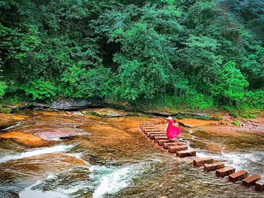 拼包车 | 天台山景区直通车|避暑、耍水、看萤火虫最佳去处 商品图4